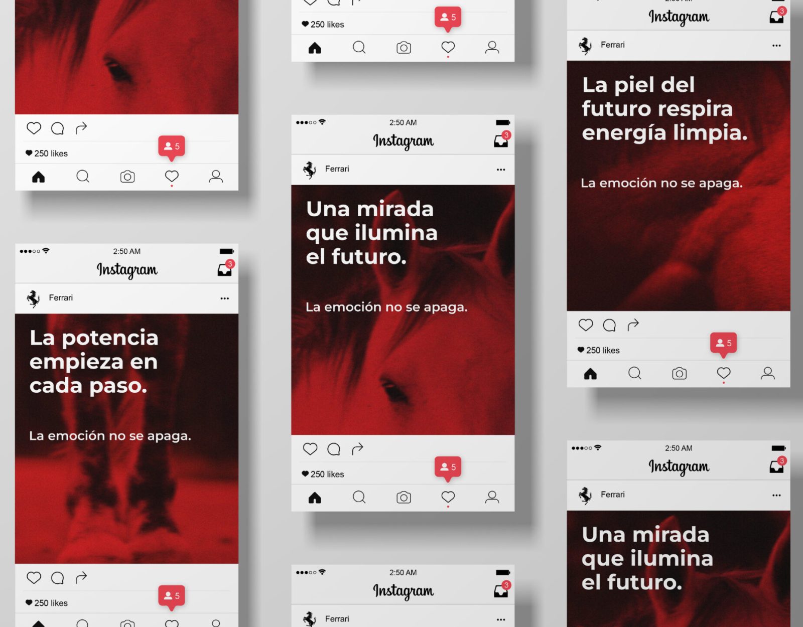 Miguel_Torres_Campaña_25